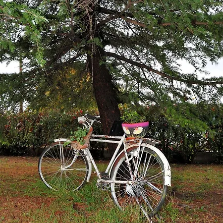 Stergios Garden House