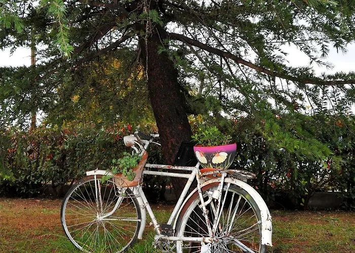 Stergios Garden House